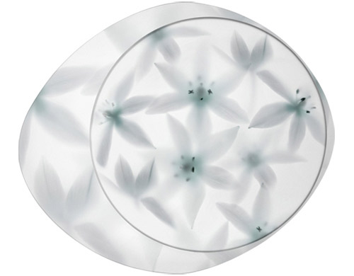 wagashi ceiling lamp