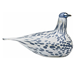 mistle thrush