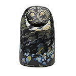 sooty owl