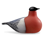 bullfinch