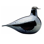 pheasant