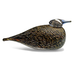 spotted crake