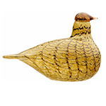 summer grouse