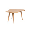 childs amoeba table