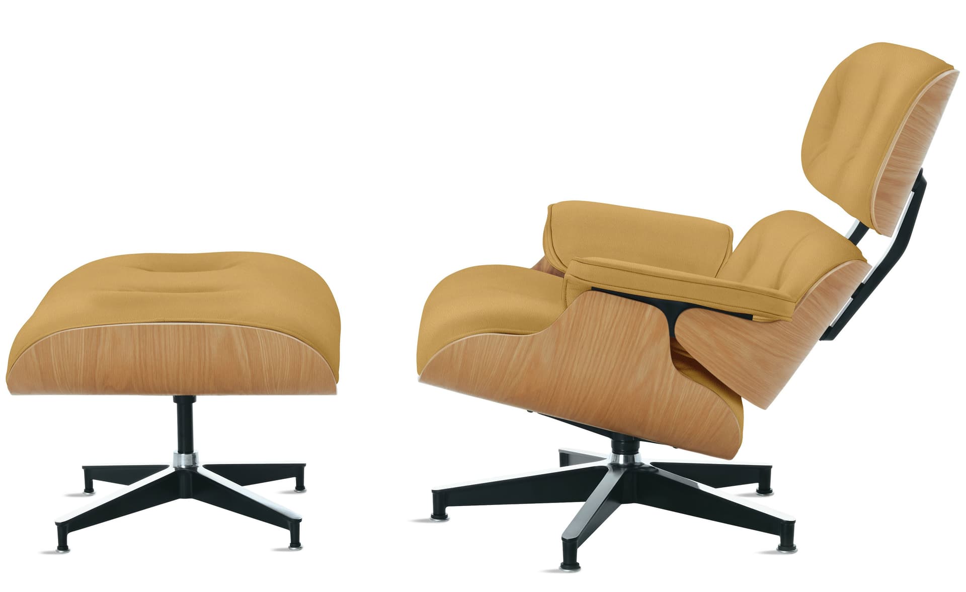 standard height / white oak / prone yarrow