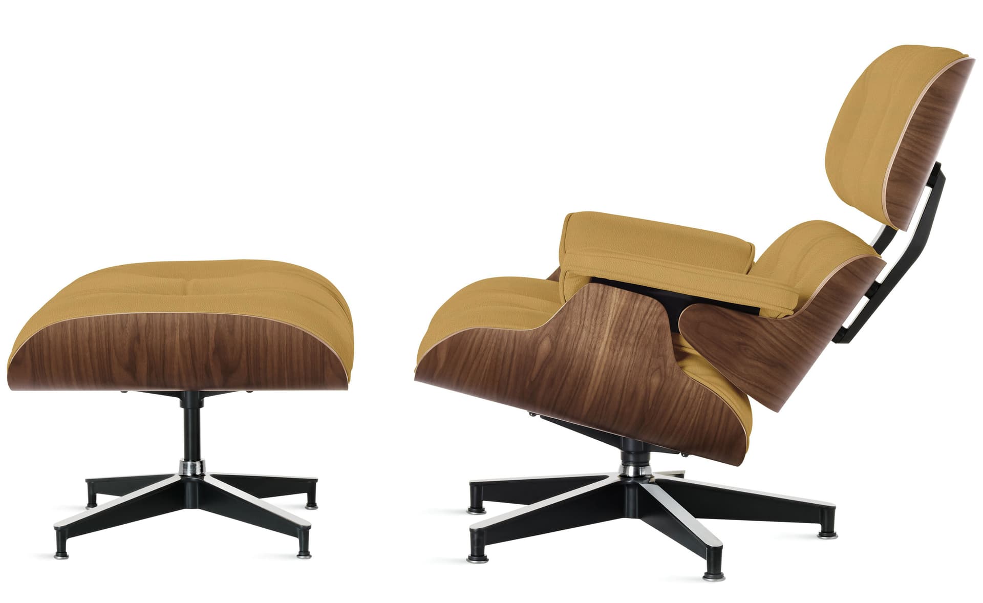 standard height / walnut / prone yarrow
