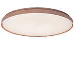 clara wall/ceiling lamp