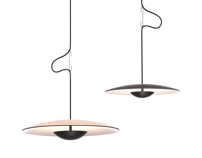 led-ginger suspension lamp