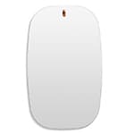 hang 1 swoval mirror
