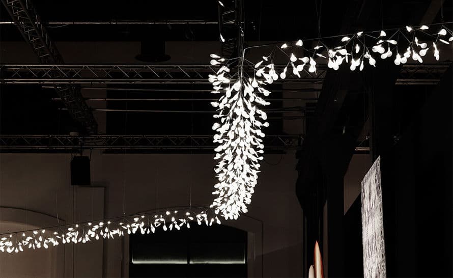 heracleum endless suspension lamp
