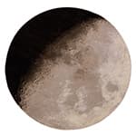 luna rug