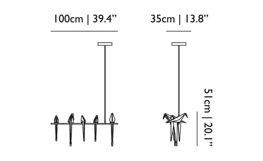 perch light branch