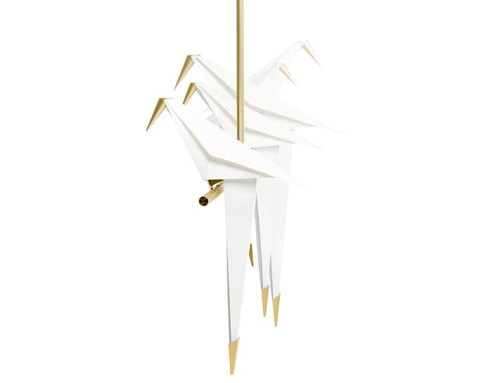 perch light branch