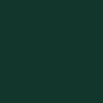 100% recycled plastic - evergreen (EVG)