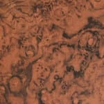 tall / 24" height - walnut burl