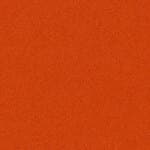white shell - divina, orange