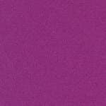 white shell - divina, purple