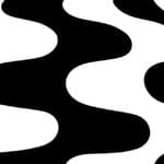 patterned black & white