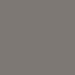 matte varnished - mud
