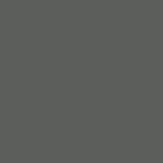 silver grey (170)