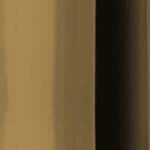 painted - polished bronze