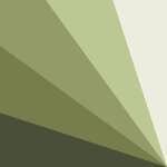 olive palette