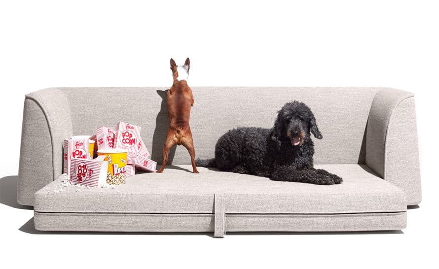 thataway sleeper sofa – thumbnail image #15