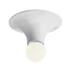 teti wall/ceiling light