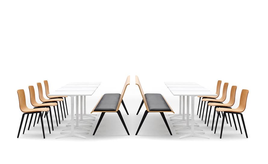 zinta eating bench 4602