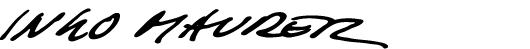 ingo maurer logo
