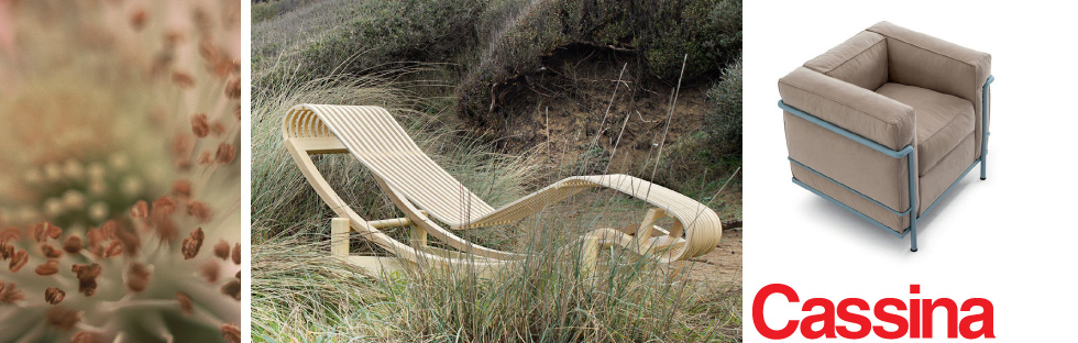cassina