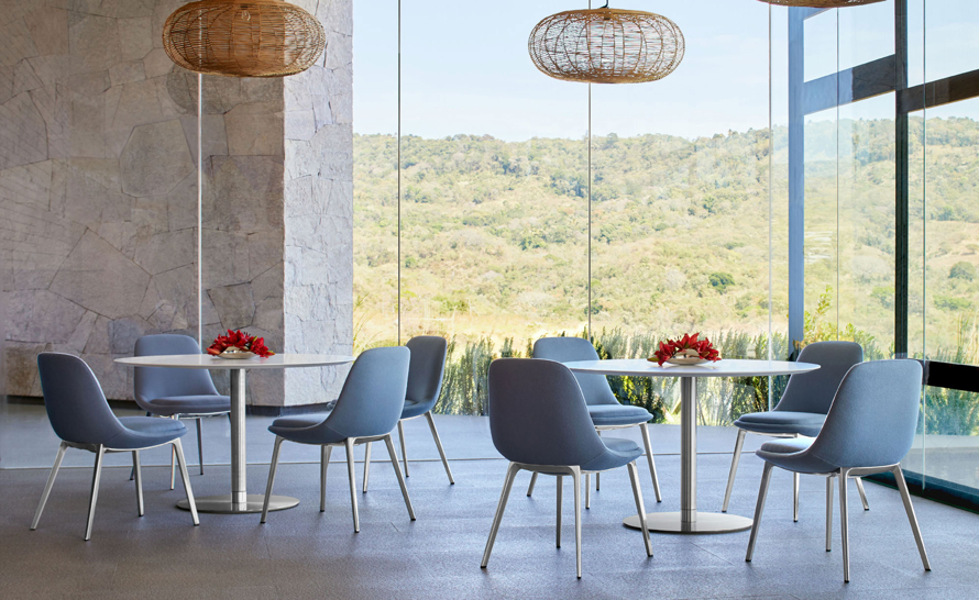 Chloe Dining Chair by Noe Duchaufour-Lawrance for Bernhardt Design