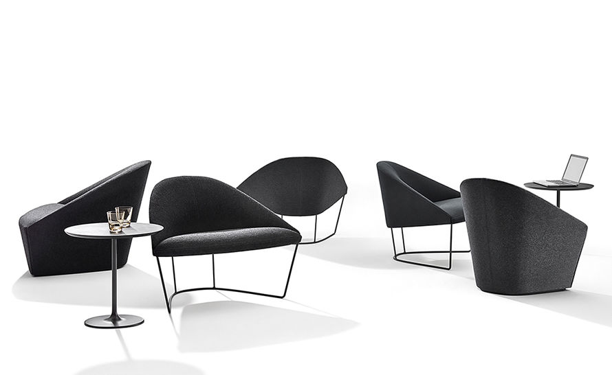 colina lounge chair with sled base | hive