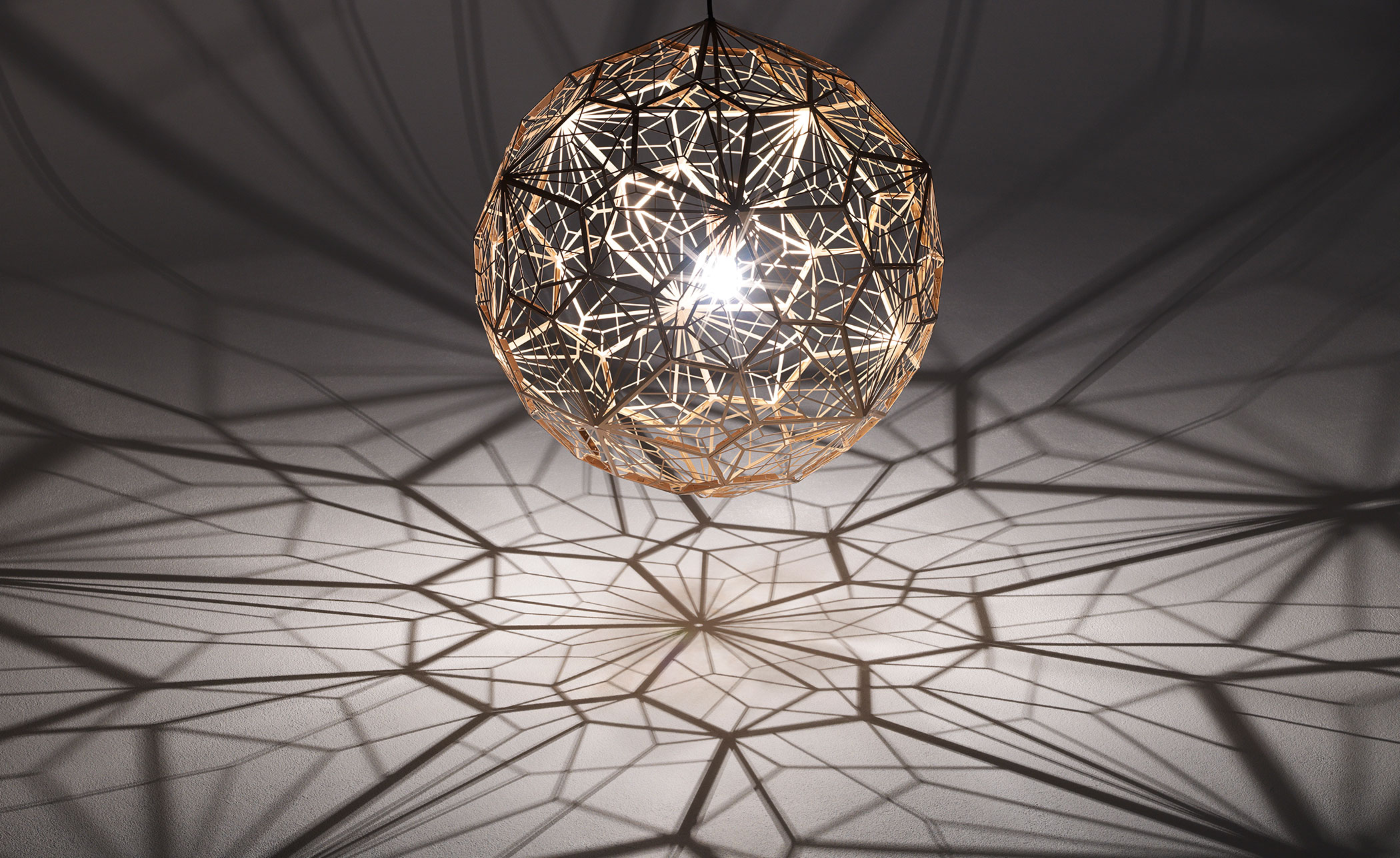 stout gemeenschap Verward zijn Etch Light Web Suspension Lamp by Tom Dixon | hive