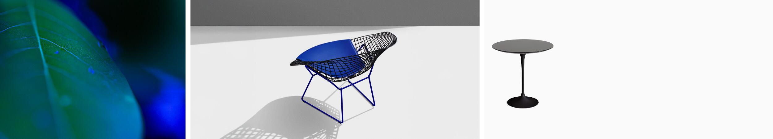Knoll
