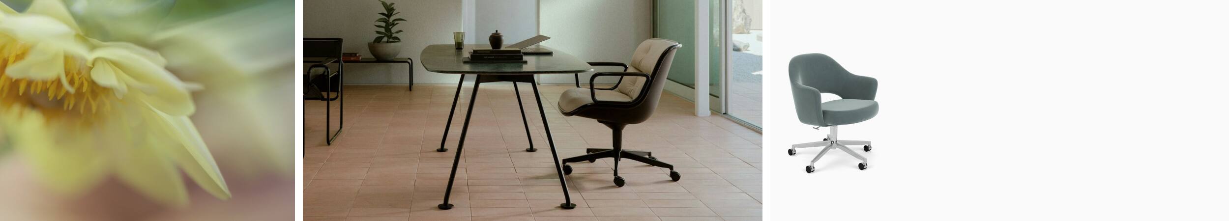 Knoll