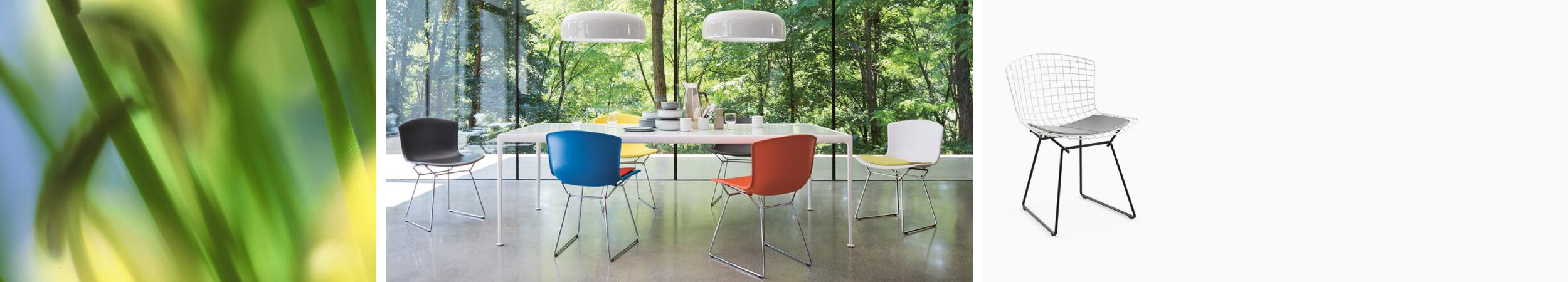 Knoll
