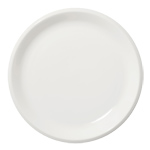 raami dinner plate  - 