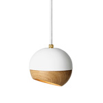 ray pendant lamp for Mater