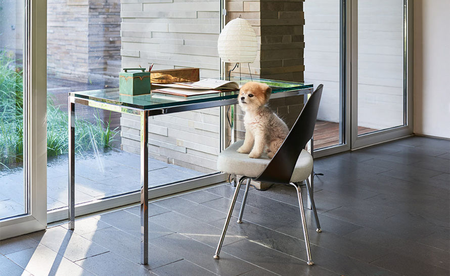 Eero Saarinen Plastic Back Executive Side Chair for Knoll | hive