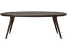 accent oval lounge table - 1