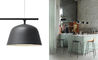 ambit rail suspension lamp - 8