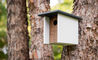 arbor birdhouse - 3