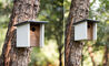 arbor birdhouse - 4