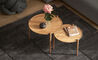 aria coffee table - 5