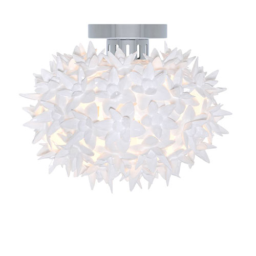 bloom ceiling/wall lamp