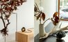 bocci 100t table lamp - 6