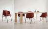 collar dining chair - 4