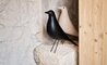 eames house bird - 5