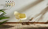 eames wire base low table, herman miller x hay - 9